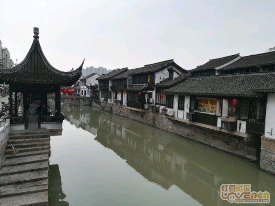 金龙送福 翰墨迎春